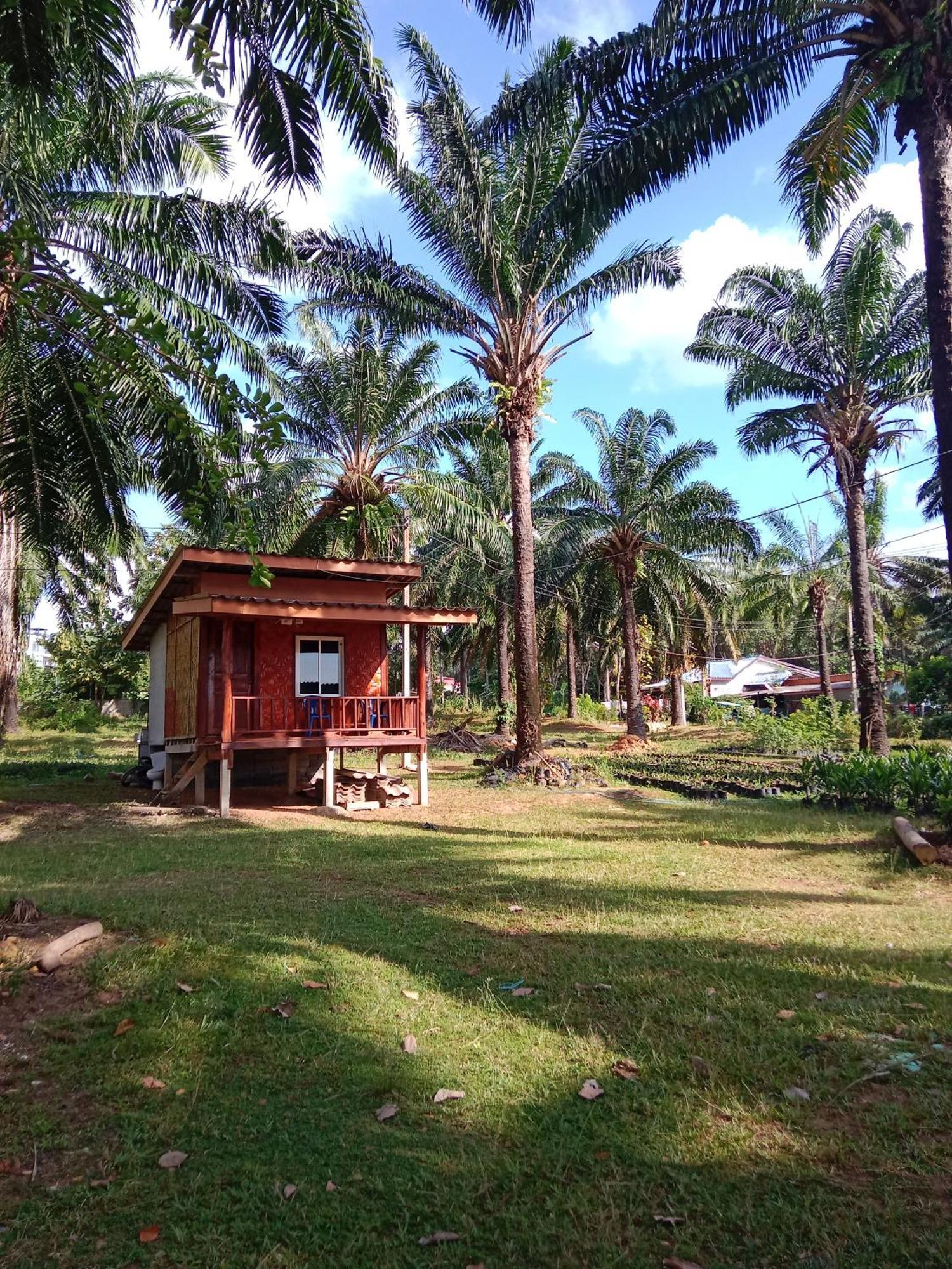 Som Palmgarden Hotel Koh Lanta Ngoại thất bức ảnh