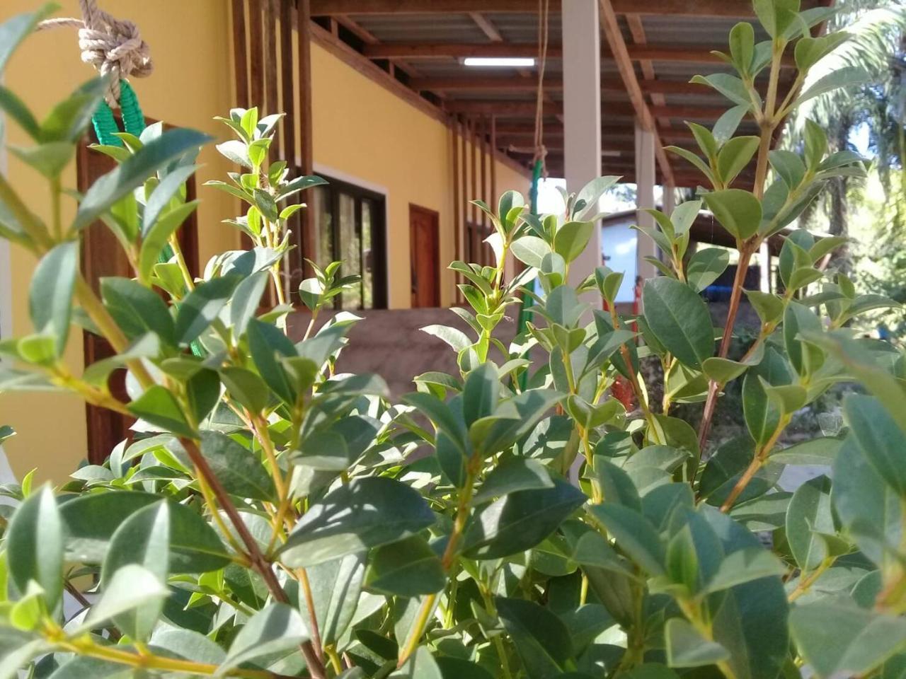 Som Palmgarden Hotel Koh Lanta Ngoại thất bức ảnh